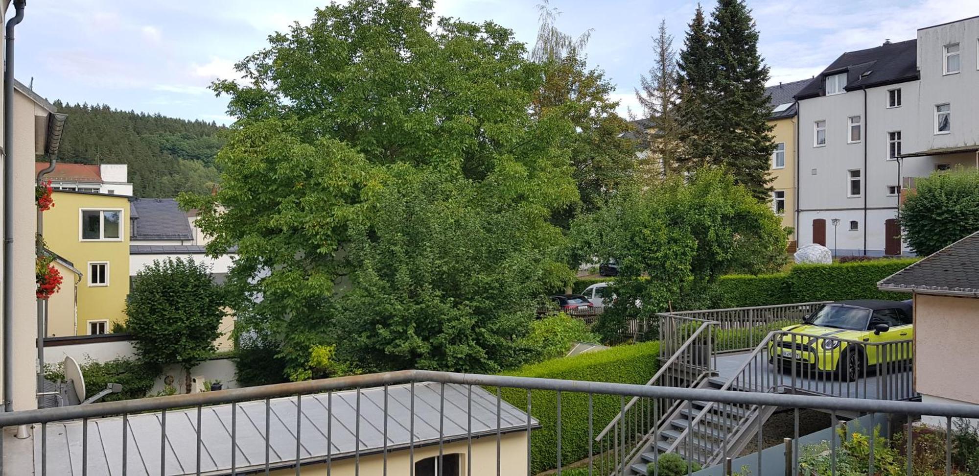 Villa Hoffnung Bad Elster Exteriér fotografie